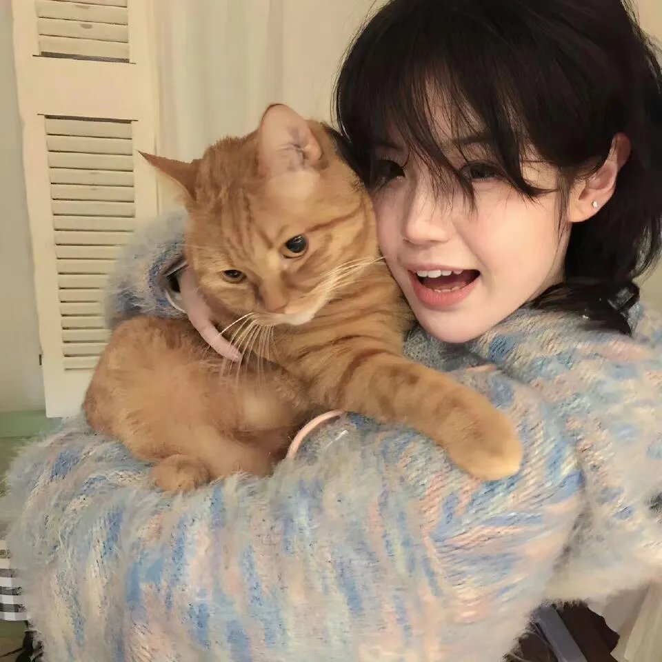 三万英尺的暗恋